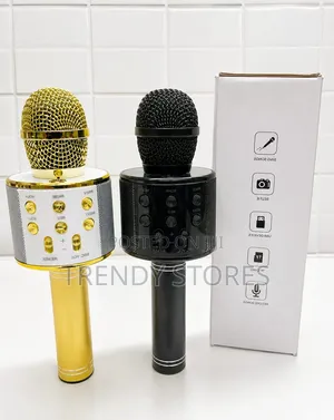 Karaoke Microphone