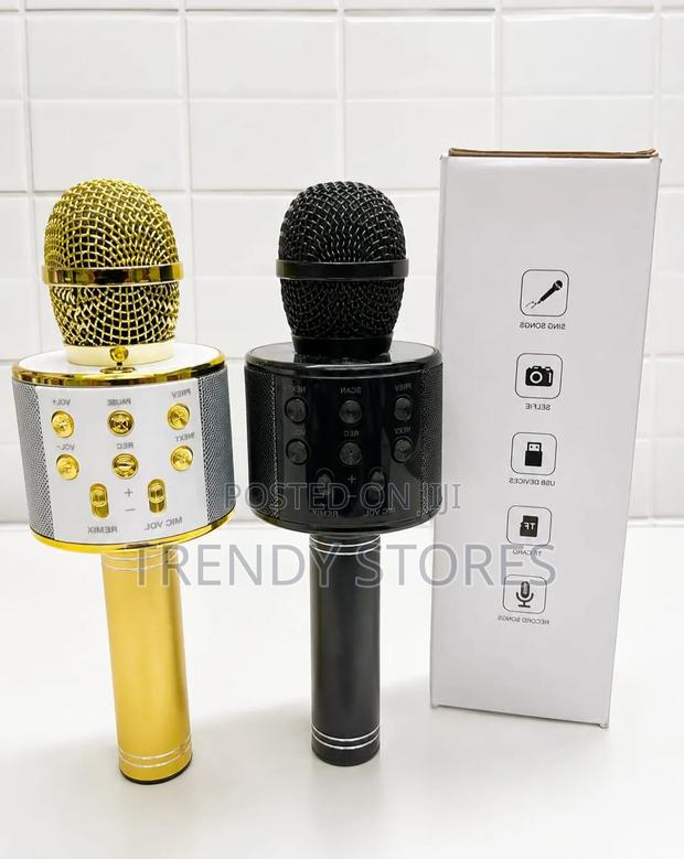 Karaoke Microphone - main view