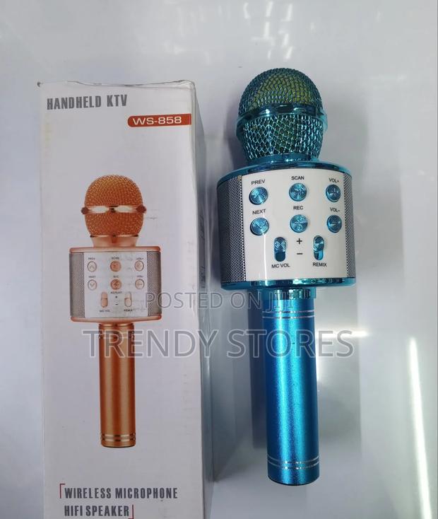 *Microphone - main view