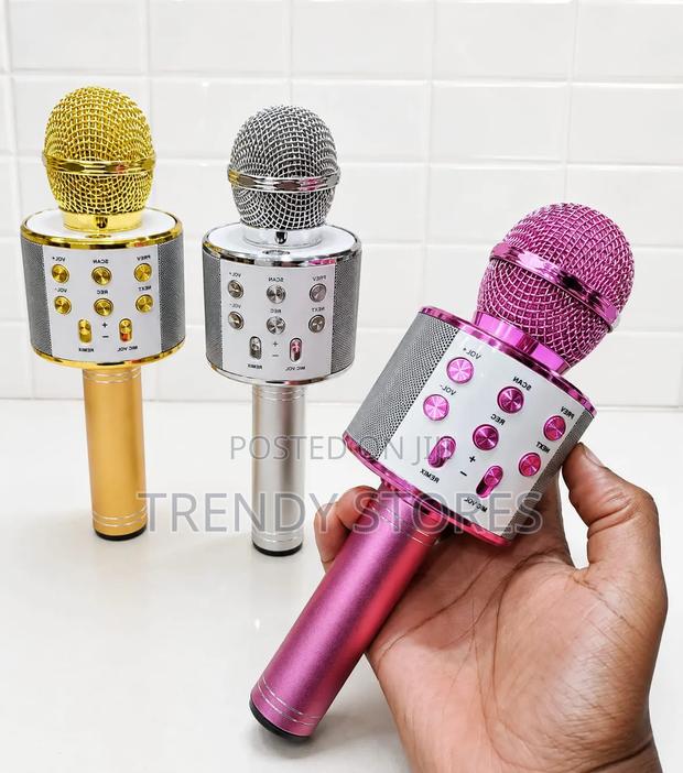 Wireless Microphone - main view