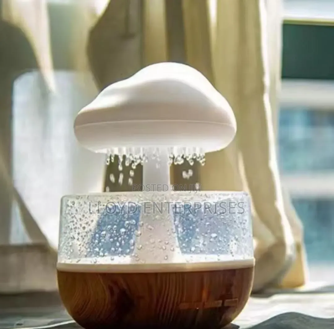 Rain Cloud Humidifier