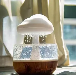 Rain Cloud Humidifier