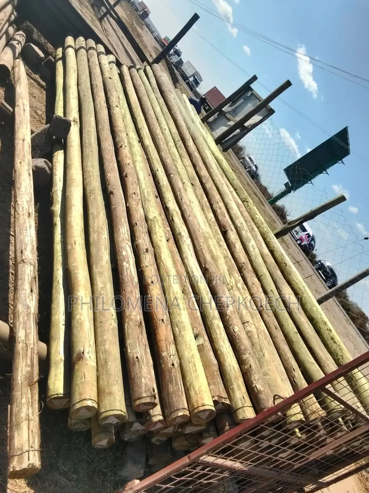Treated Electricity Poles and Fencing Posts