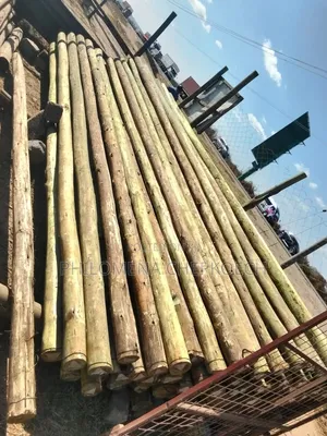 Treated Electricity Poles and Fencing Posts