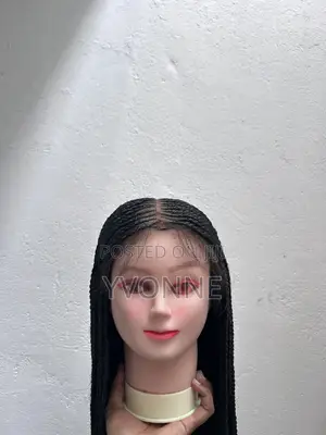 Braided Wig