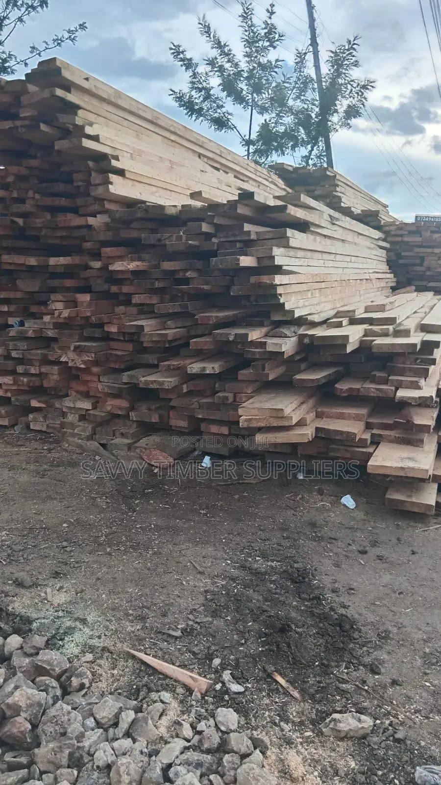 Timber Supp