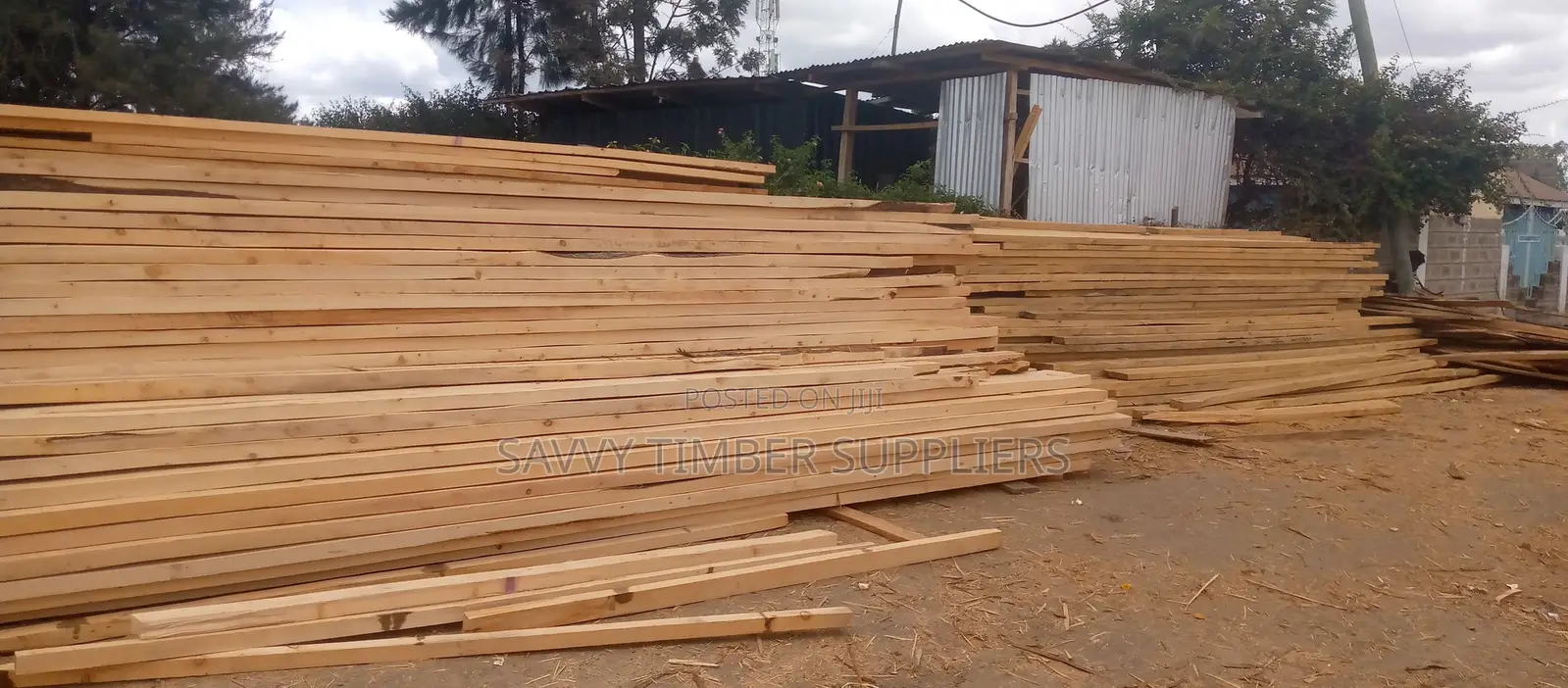 Timber Supp