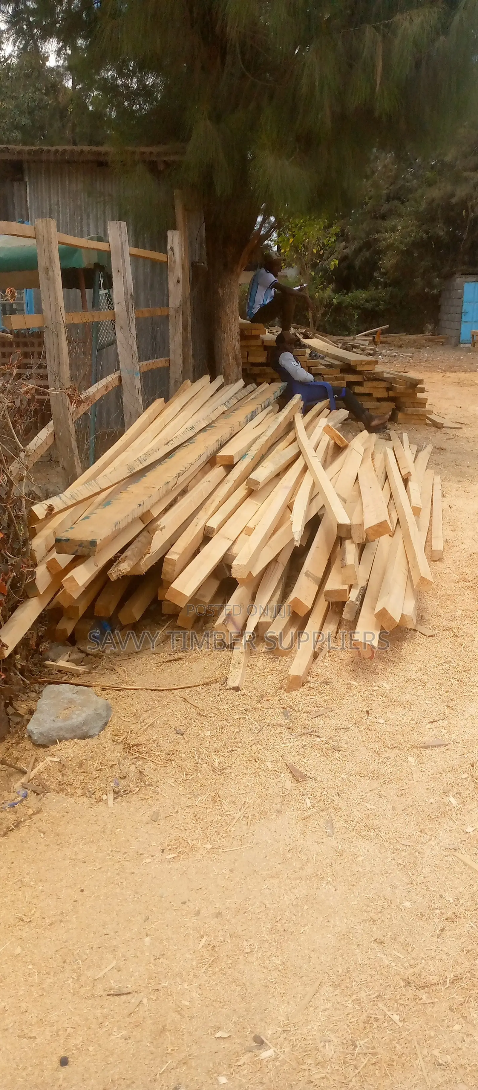 Timber Supp
