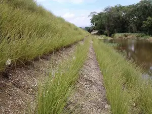 Soil and Water Conservation