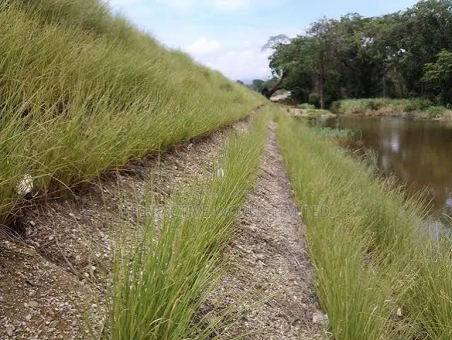 Soil and Water Conservation