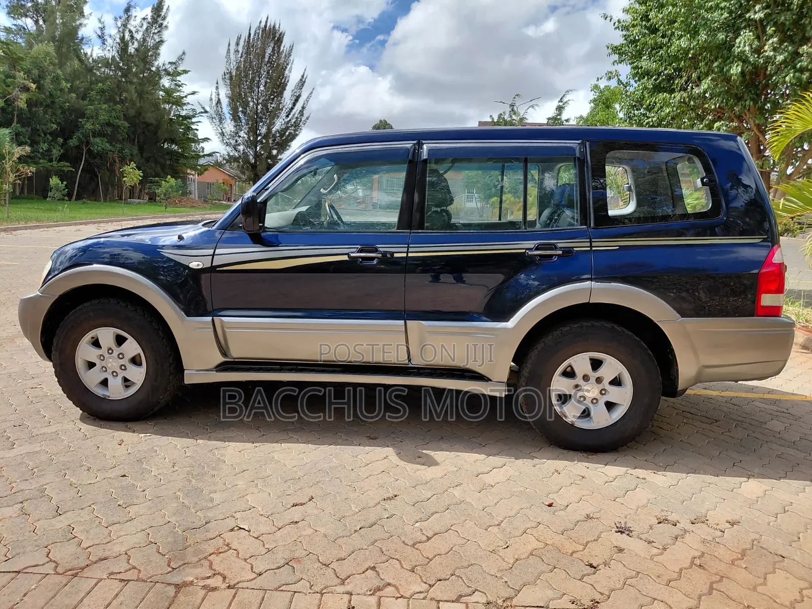 Mitsubishi Pajero 2003 Blue