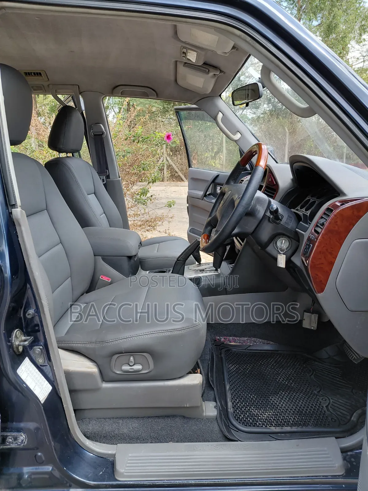 Mitsubishi Pajero 2003 Blue