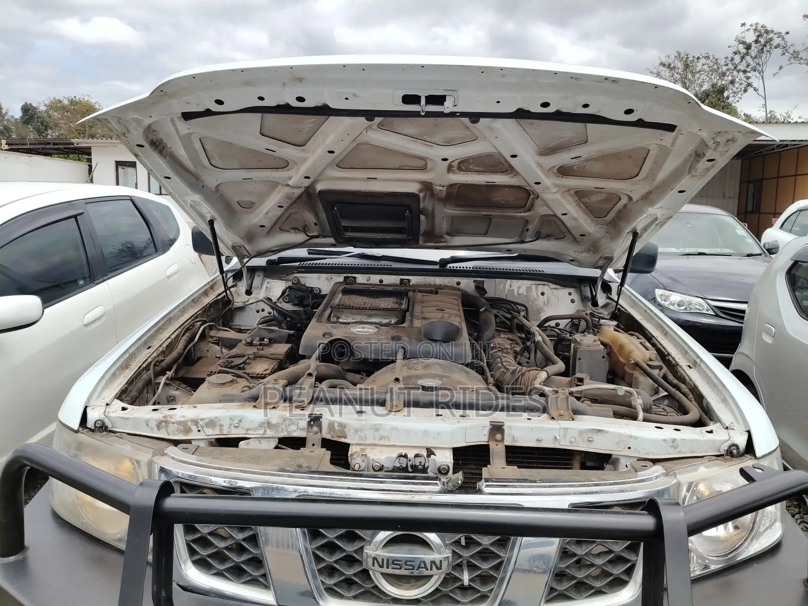 Nissan Hardbody 2016 White