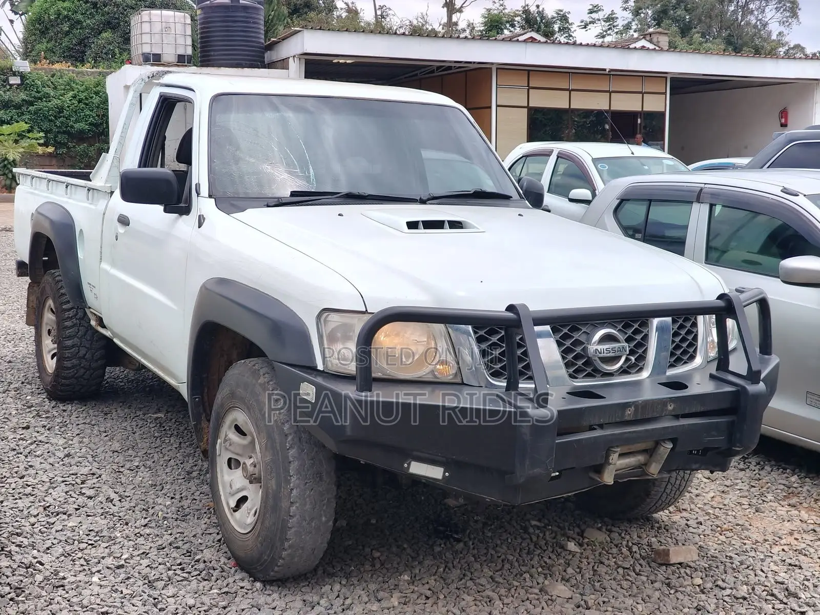 Nissan Hardbody 2016 White