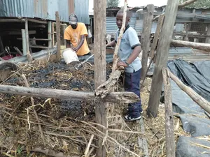Pure Organic Compost Fertilizer