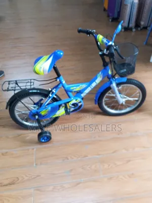 Bike Size 16