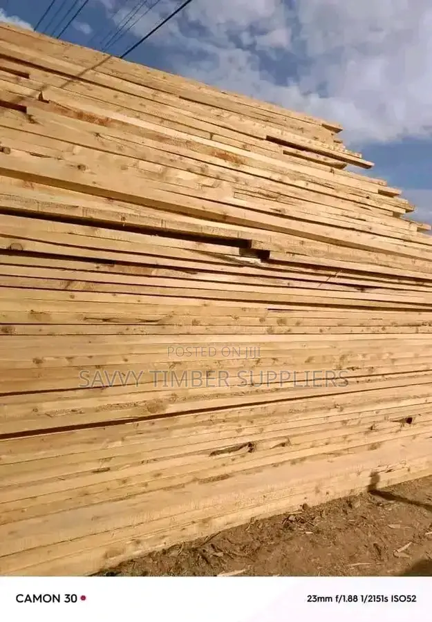 Timber Supp
