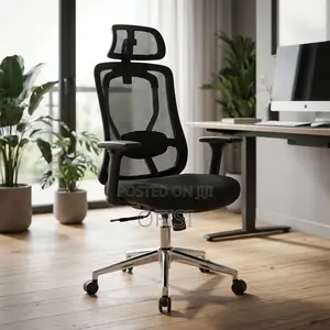 Office Seats| Executive Orthopedic Office Chair