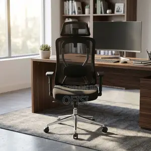 Office Seats| Executive Orthopedic Office Chair
