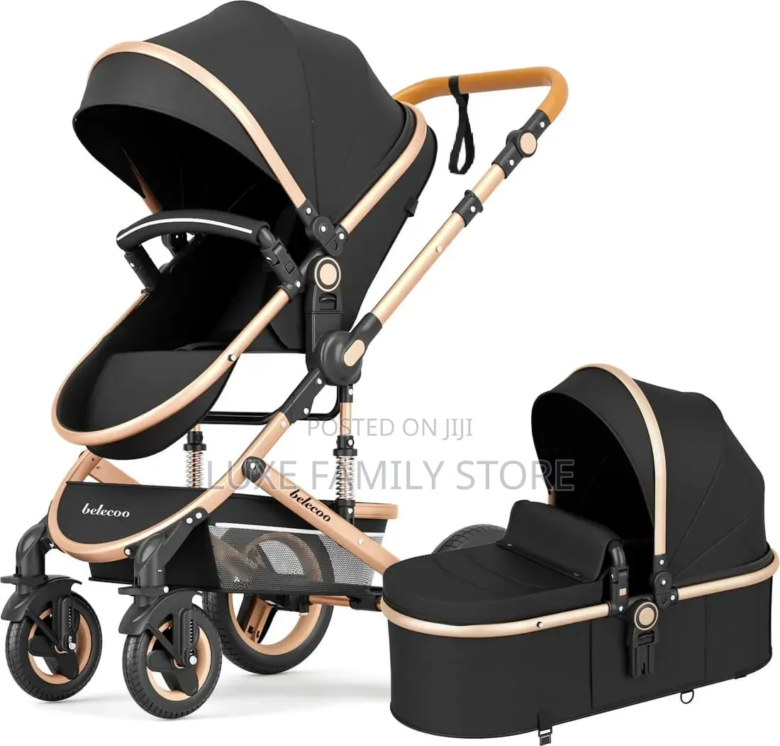 2 in 1 Stroller