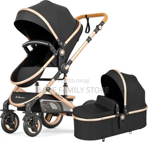 2 in 1 Stroller