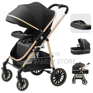 2 in 1 Stroller
