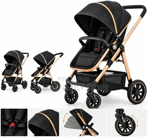 2 in 1 Stroller