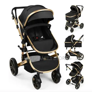 2 in 1 Stroller
