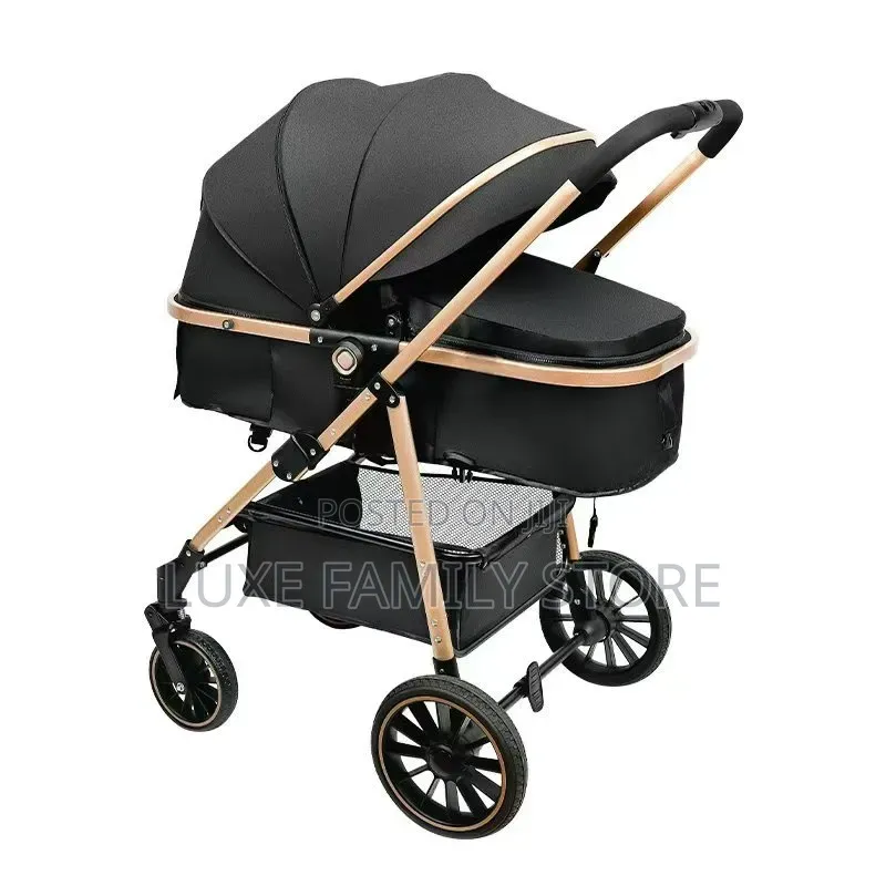2 in 1 Stroller