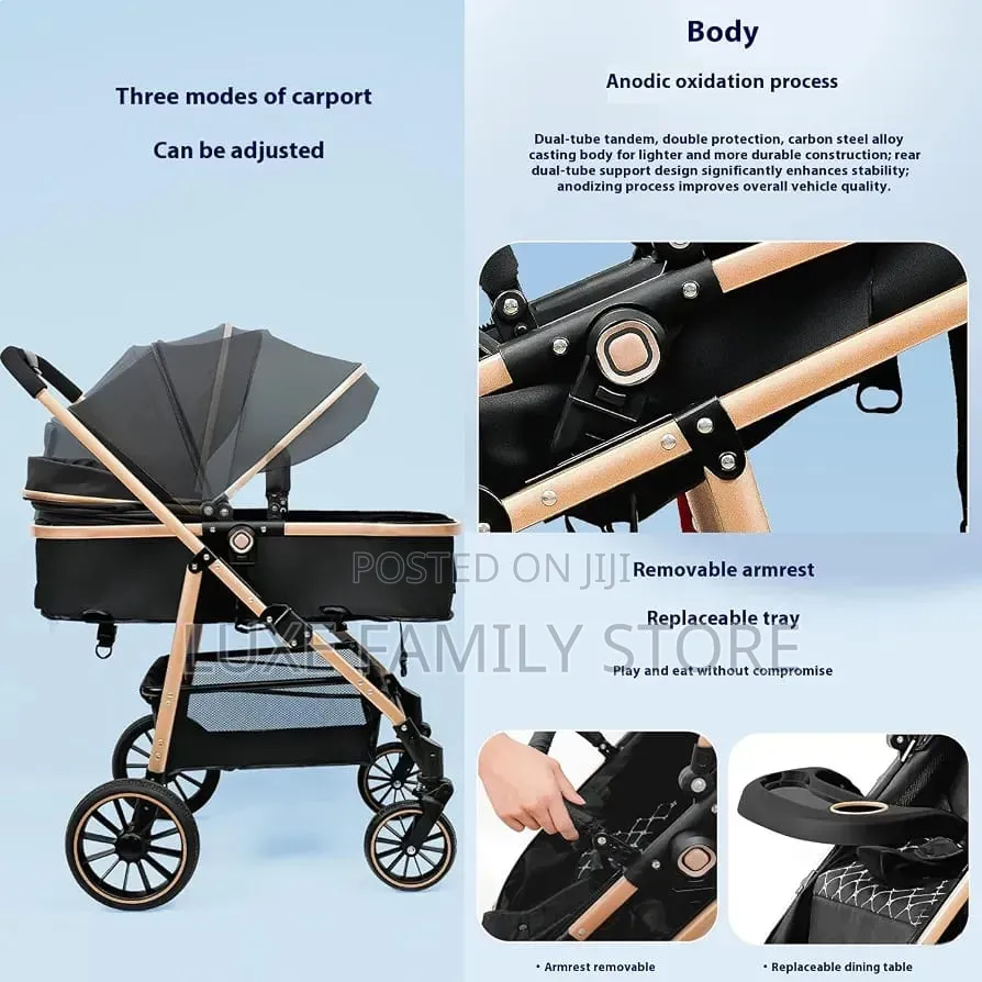 2 in 1 Stroller