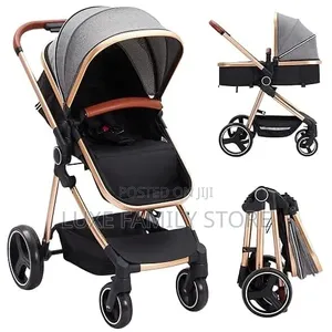 2 In1 Stroller