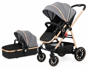 2 In1 Stroller