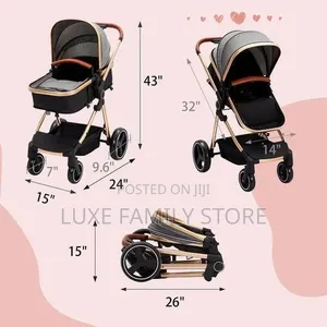 2 In1 Stroller