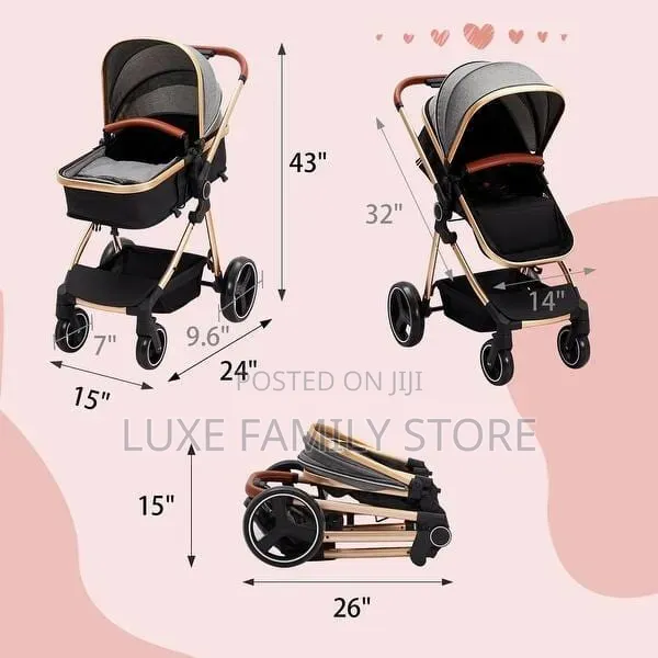 2 In1 Stroller