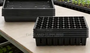 Efficient Seedling Management Trays