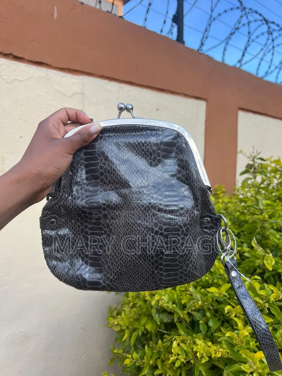 Ladies Handbags