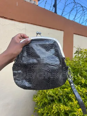 Ladies Handbags