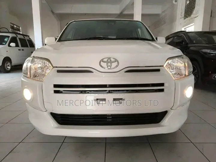 Toyota Probox 2019 Pearl