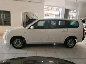 Toyota Probox 2019 Pearl