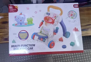 Multifuction Walking Car