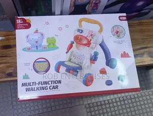 Multifuction Walking Car