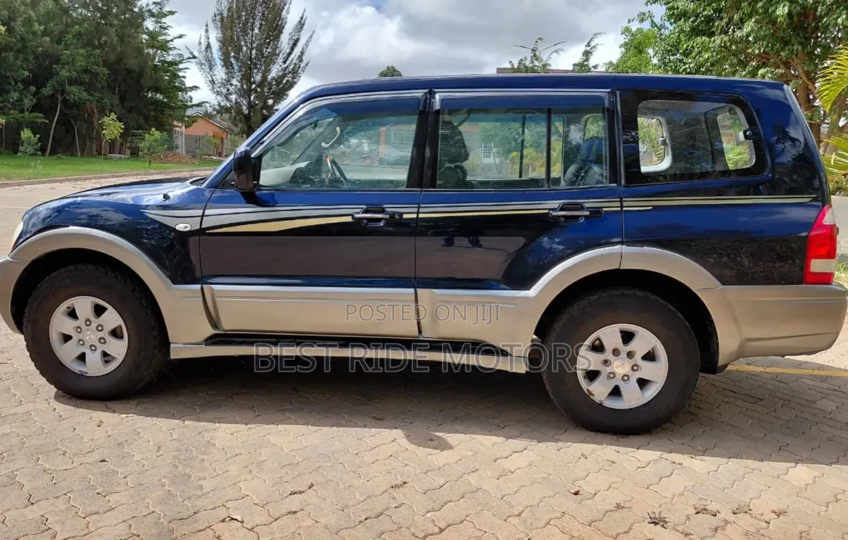 Mitsubishi Pajero 2003 Blue