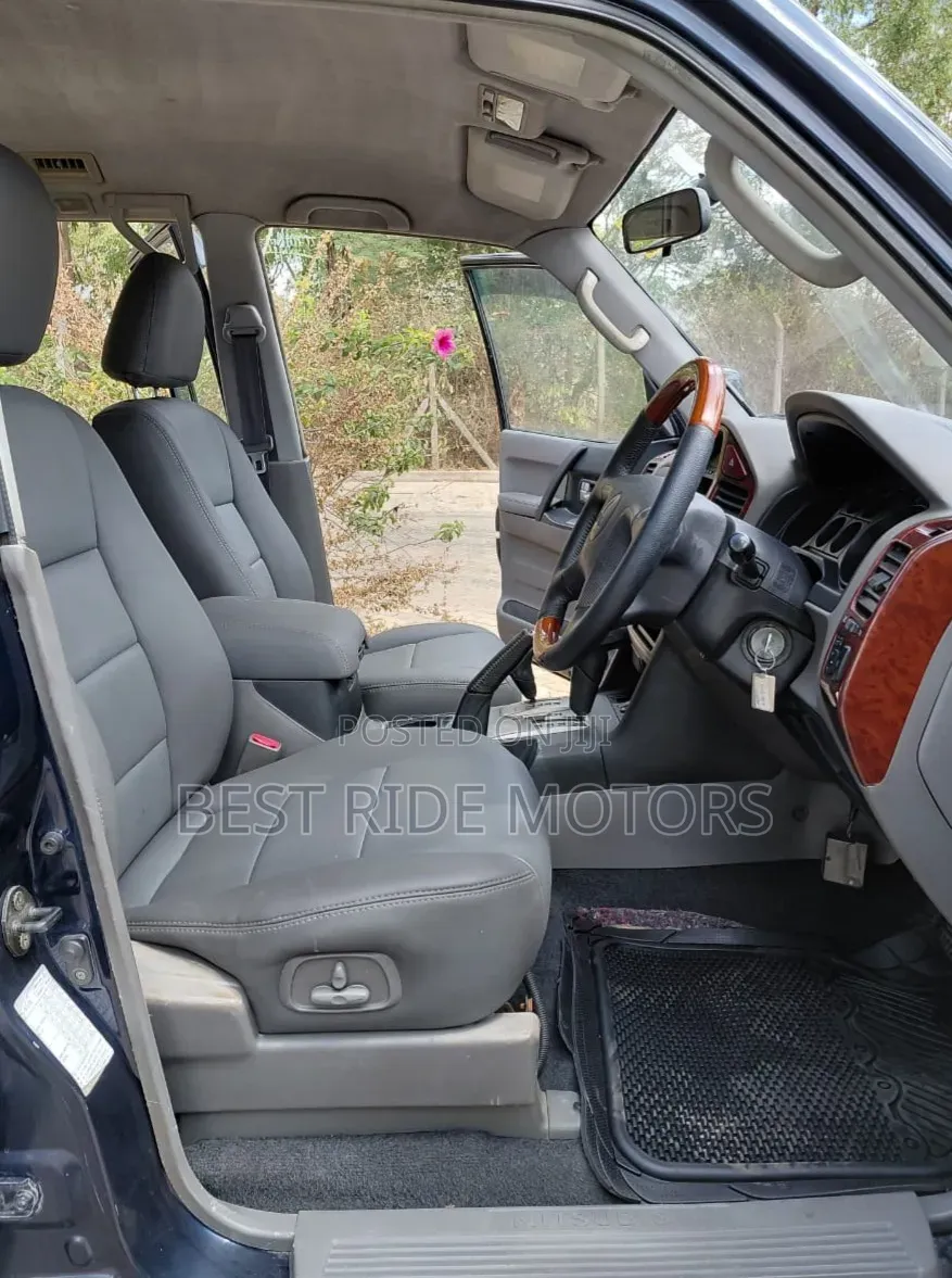 Mitsubishi Pajero 2003 Blue