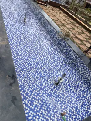 Fish Pond Maintenance