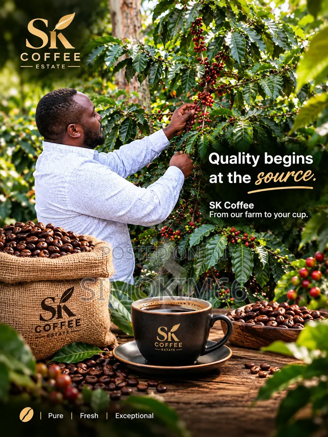 Kenyan Coffee (Sk Coffee)