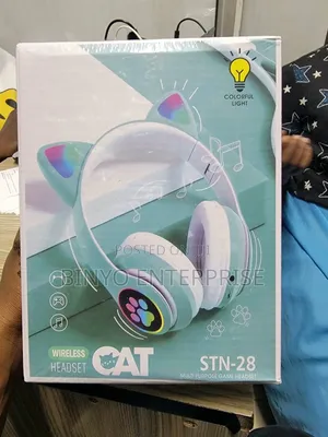 Green Headphone Cat Ear