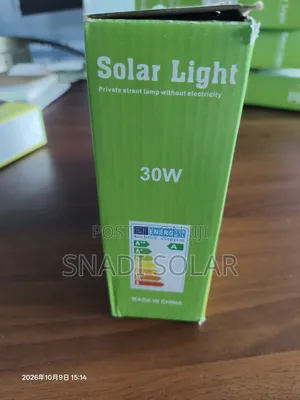 30w Solar Light