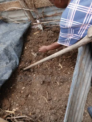 Pure Organic Compost Fertilizer
