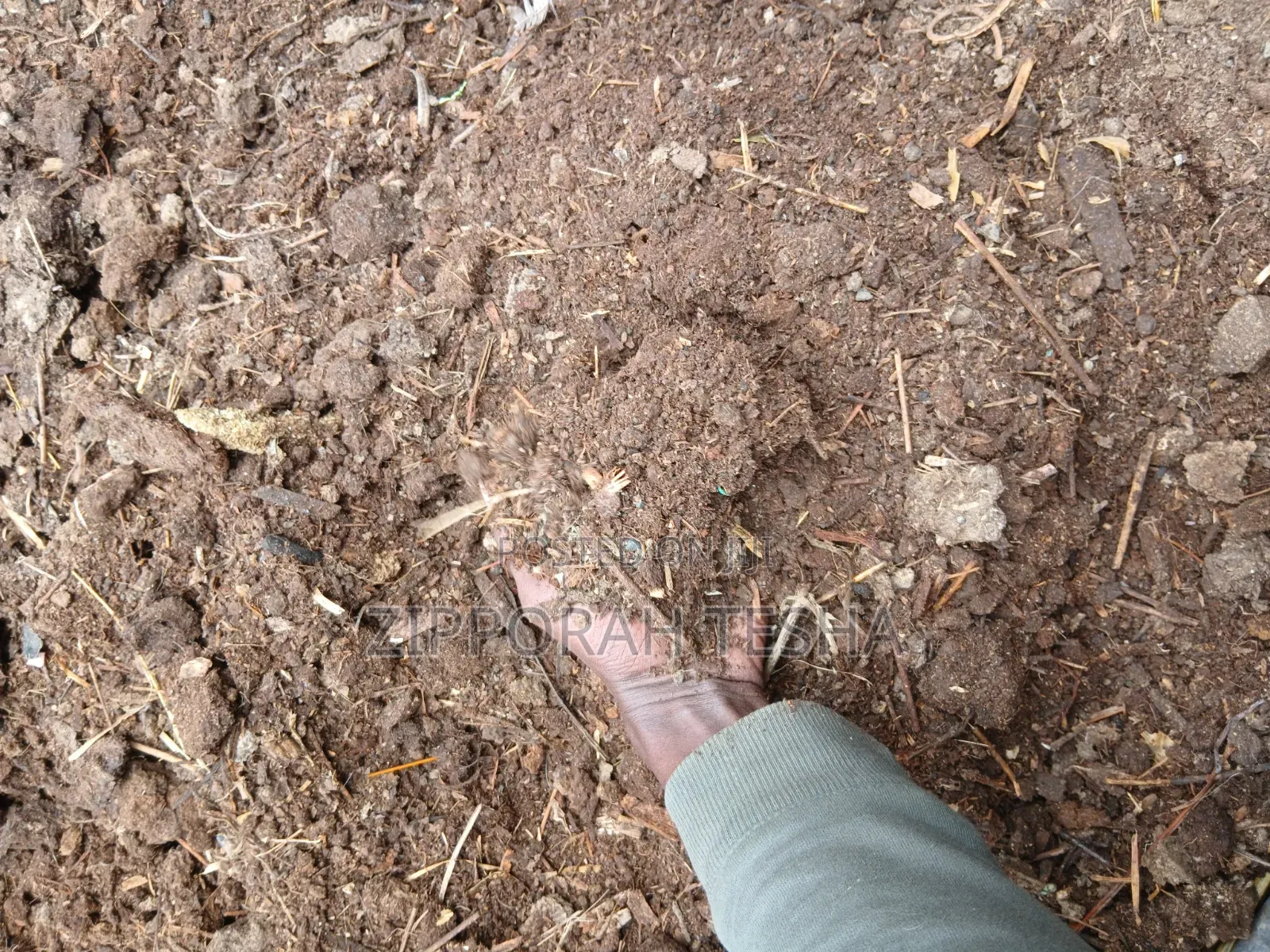 Pure Organic Compost Fertilizer