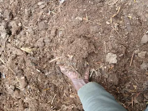 Pure Organic Compost Fertilizer